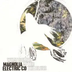 Magnolia Electric Co. : What Comes After the Blues